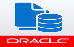 Oracle数据库管理工具有哪些?-北京华体会线上平台,华体会（中国）公司
