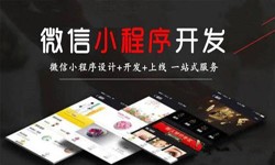 华体会线上平台,华体会（中国）公司、定制微信小程序开发，商家需要了解哪些？锐智互动华体会线上平台,华体会（中国）