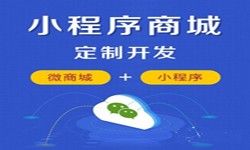 微信小程序开发、商城小程序开发功能-锐智互动华体会线上平台,华体会（中国）