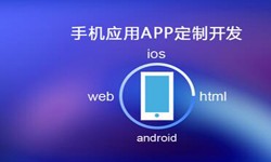 APP开发市场上常见问题分析-北京华体会线上平台,华体会（中国）公司